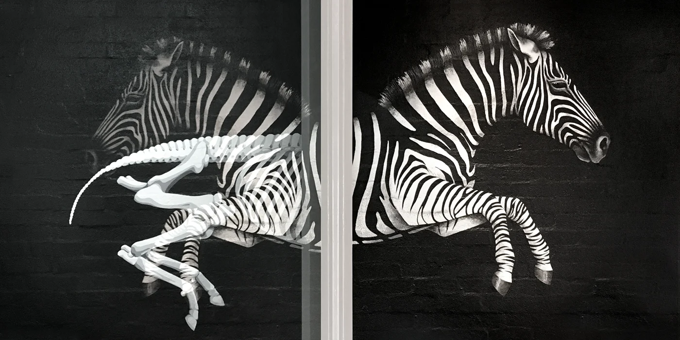 BVD_Base_ZEBRA_1400x700px_v4_03.jpg