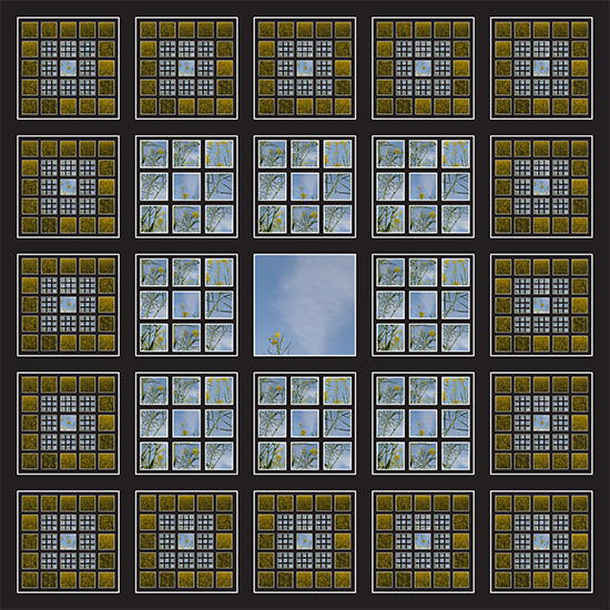 24 by 24 5 by 5 flax shattered.png