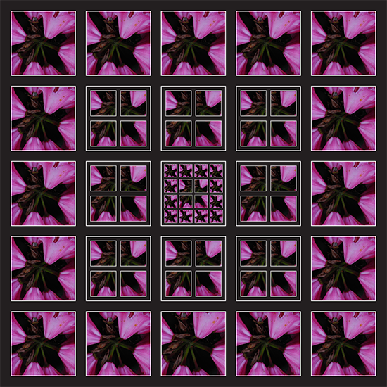 24 by 24 5 by 5 pink shattered.png
