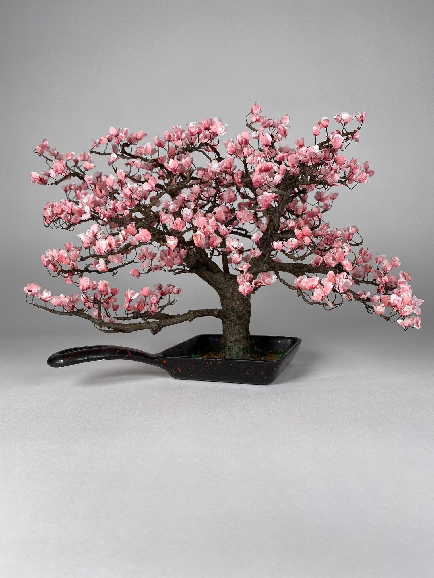 Magnolia Tree, 2022