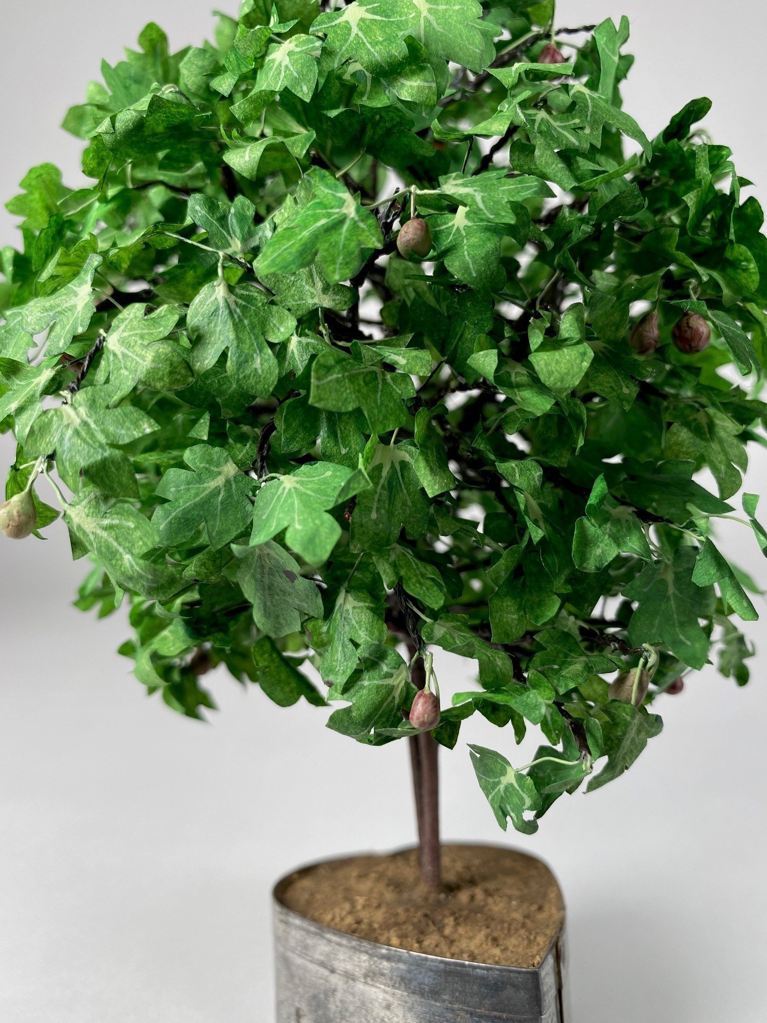 Fig Tree detail.jpg