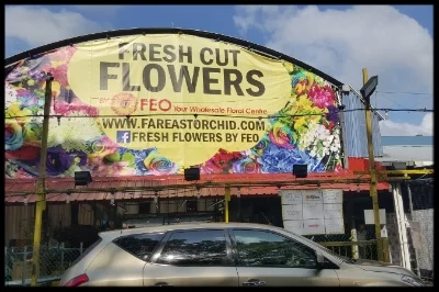 The children were eager to see the array of flowers at Far East Orchid Floral Centre.