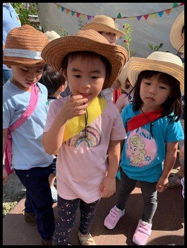  We were taken to have a look at the red leaf hibiscus. It was explained that they are edible and Ms Kaylie described the taste similar to grape skin. They also learnt that this leaf is highly popular among the Taiwanese as they enjoy adding it to th