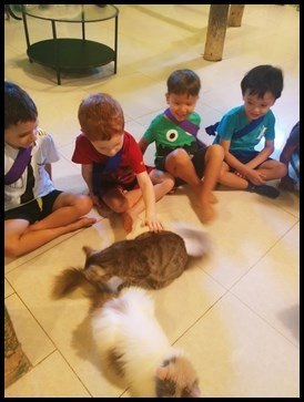  The children were ecstatic to finally get a chance to spend precious time with these furry friends. 