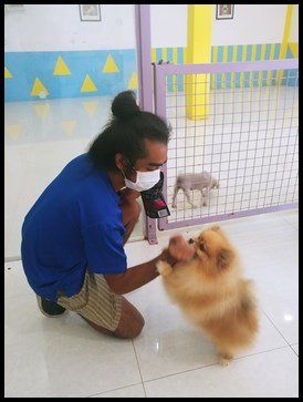  Mr. Jester demonstrated how to feed Bruno, a breed of Pomeranian. He reminded the children to let the dog sniff the treat and then let the dog eat off the palm of their hands. 