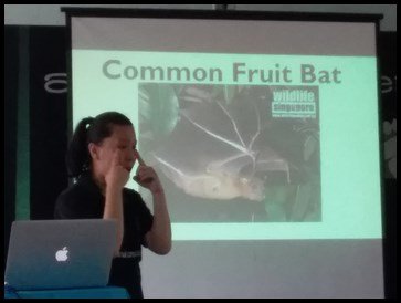  The next animal that Ms. Edwina introduced to the children was the Common Fruit Bat. She explained how the animal relies on strong smell produced by plants to enable it to find its food. 