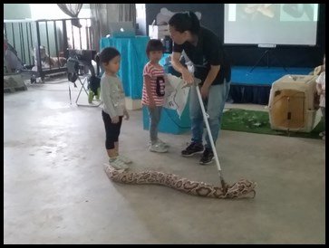  She further explained to them that the snake should be held at its head with the help of a grabber. 