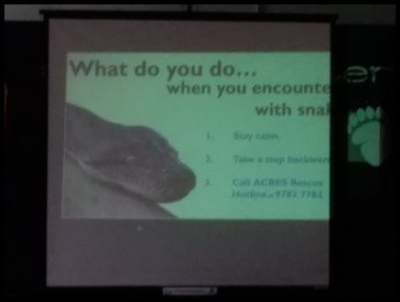  Ms. Edwina shared with the children the general instructions on steps to follow when one encounters a snake. 
