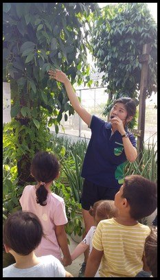  The children saw the pepper plant. They learnt that it takes a few years for the pepper plant to grow and it only requires rain water to grow. It grows by step cutting. 