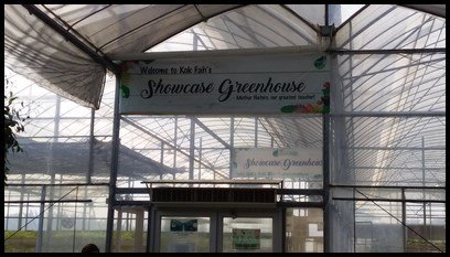  The children were then led to the showcase greenhouse. 