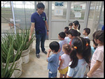  The children were shown aloe vera plants which were around 3 to 4 years old. The children learnt that the aloe vera plant has thorns to protect itself from animals that eat it. 