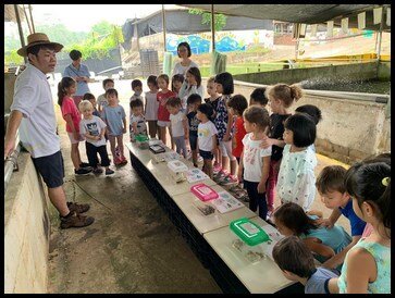  They then moved on to look at the life cycle of a frog. The children were introduced to the 5 stages - egg, tadpole, tadpole with hind legs, froglet and frog. Mr Jackson explained that the frogs on the frog farm are American bullfrogs. The reason wh