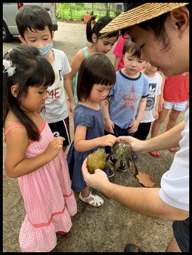  They touched the frog and pointed out the smooth surface of its skin. Mr Jackson shared that the layer of slime that keeps the skin wet helps it to breathe too. 