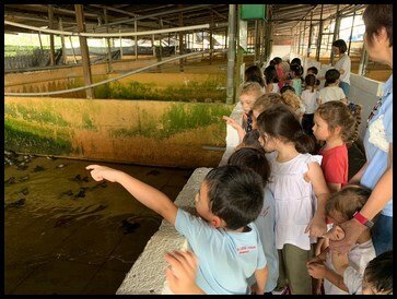  To end the tour, the children moved on to the last segment where they were given the chance to feed the frogs with pellets that are made of fish. 