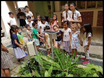  Next, the children were brought to the fern garden that grows the local flora and fauna. They got to look at the solar panel which was a project aimed to find out whether the school could implement the use of clean renewable energy. It also allowed 
