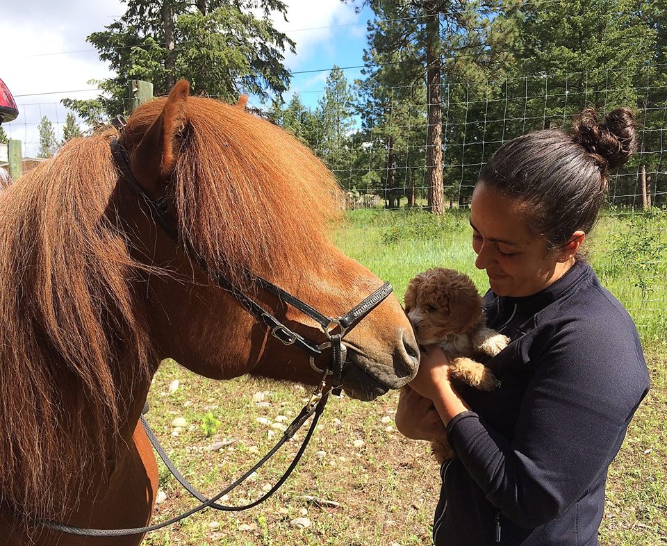 Prairie Doodles horse and puppy.jpg