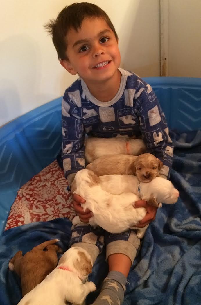 Lucca is doing his job as Master Cuddle Boy!