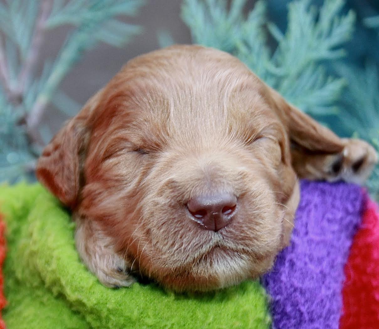 Blissful Yellow Girl