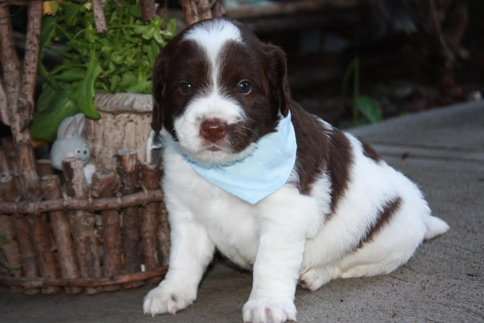 Sky Blue Boy