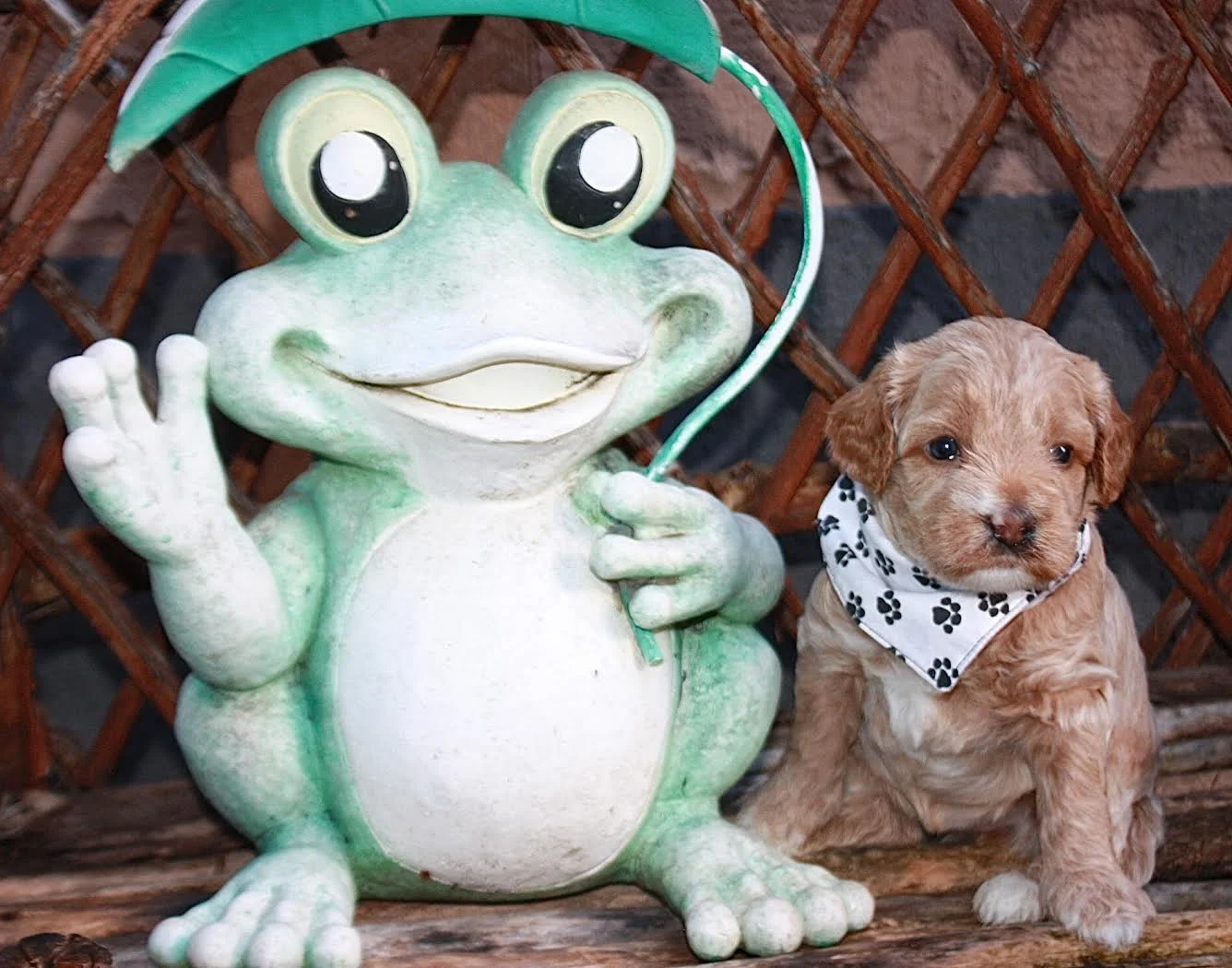 Madame White and her froggy friend!