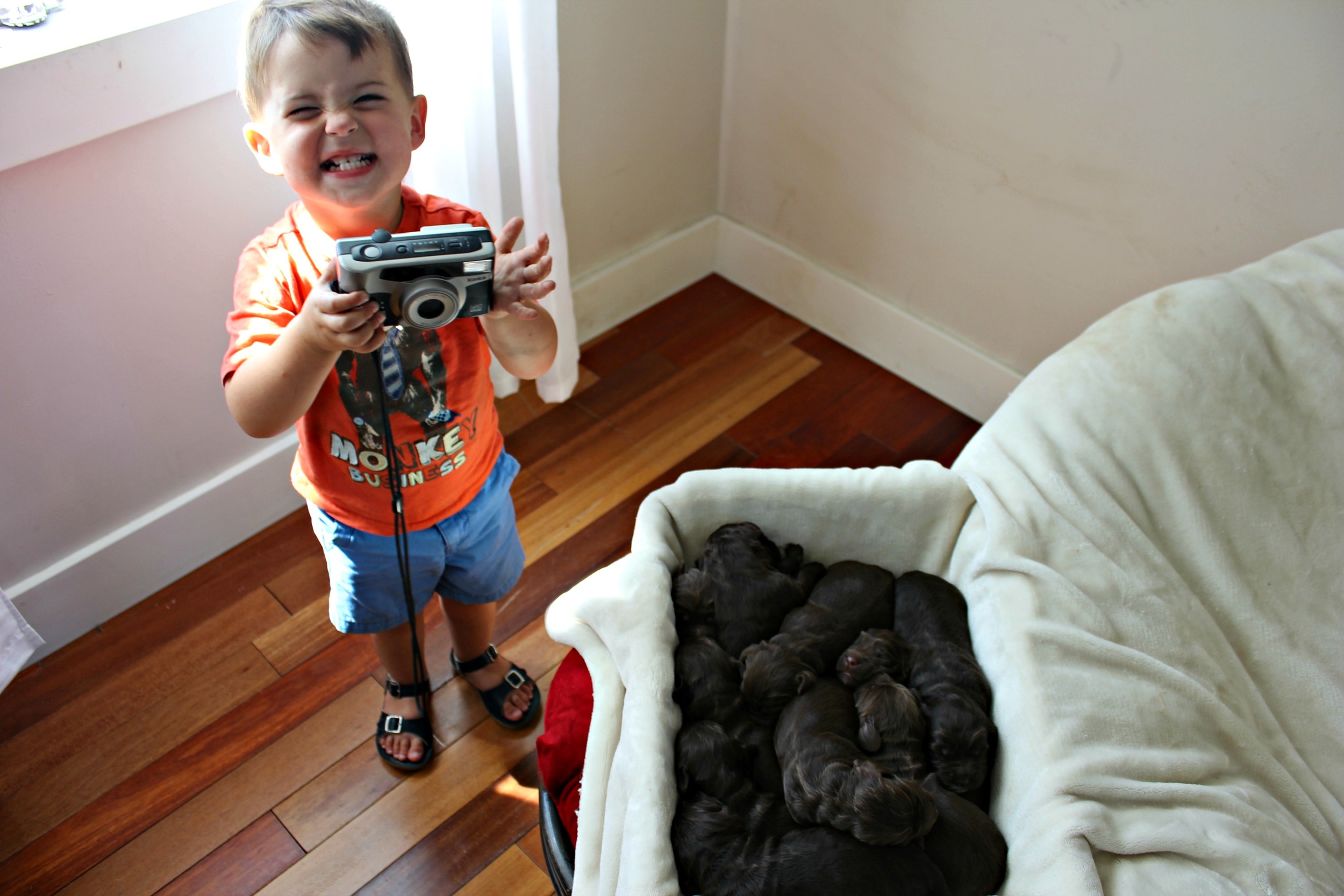 Oliver loves to help in anyway he can!