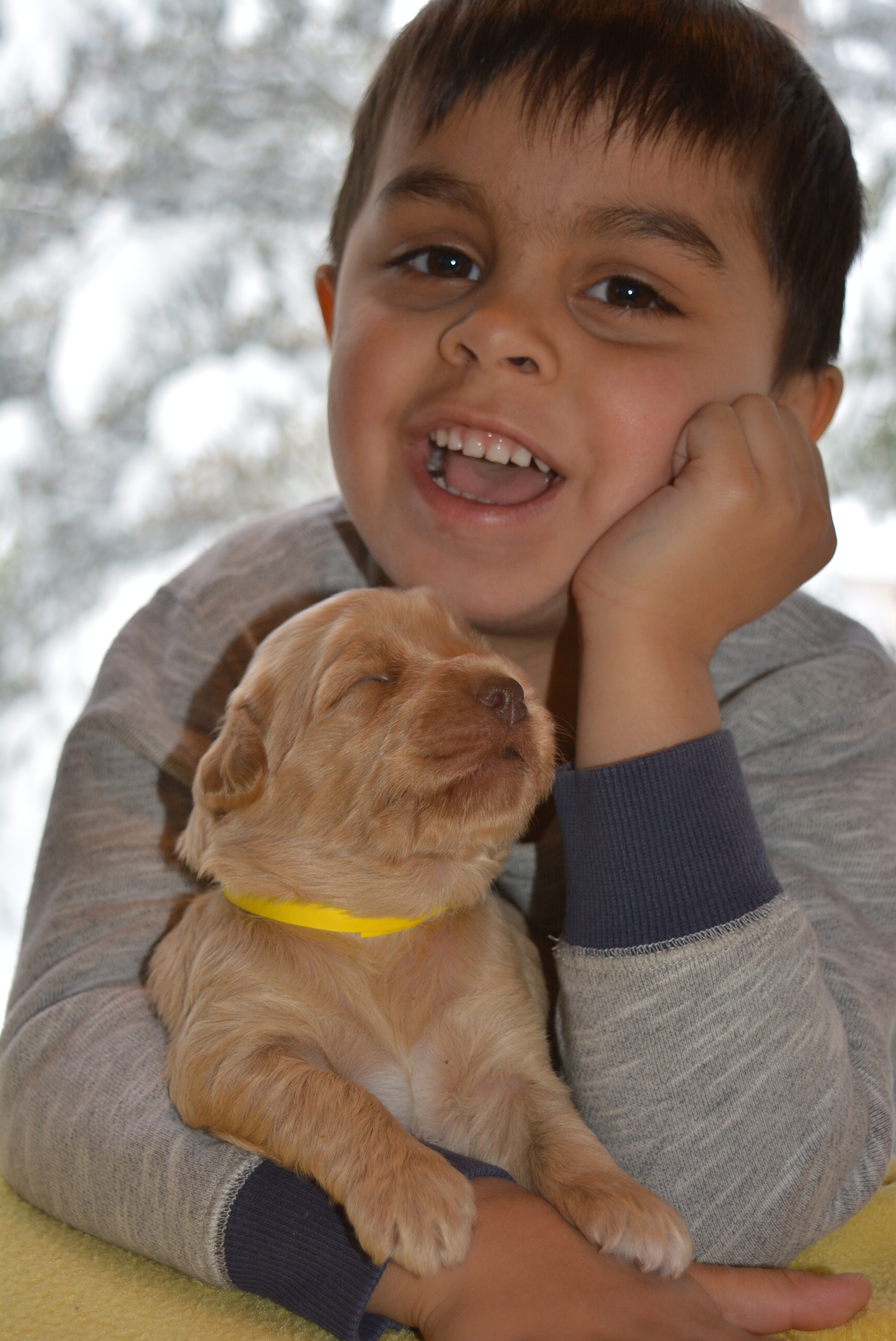 Yellow Daisy and Lucca :) 