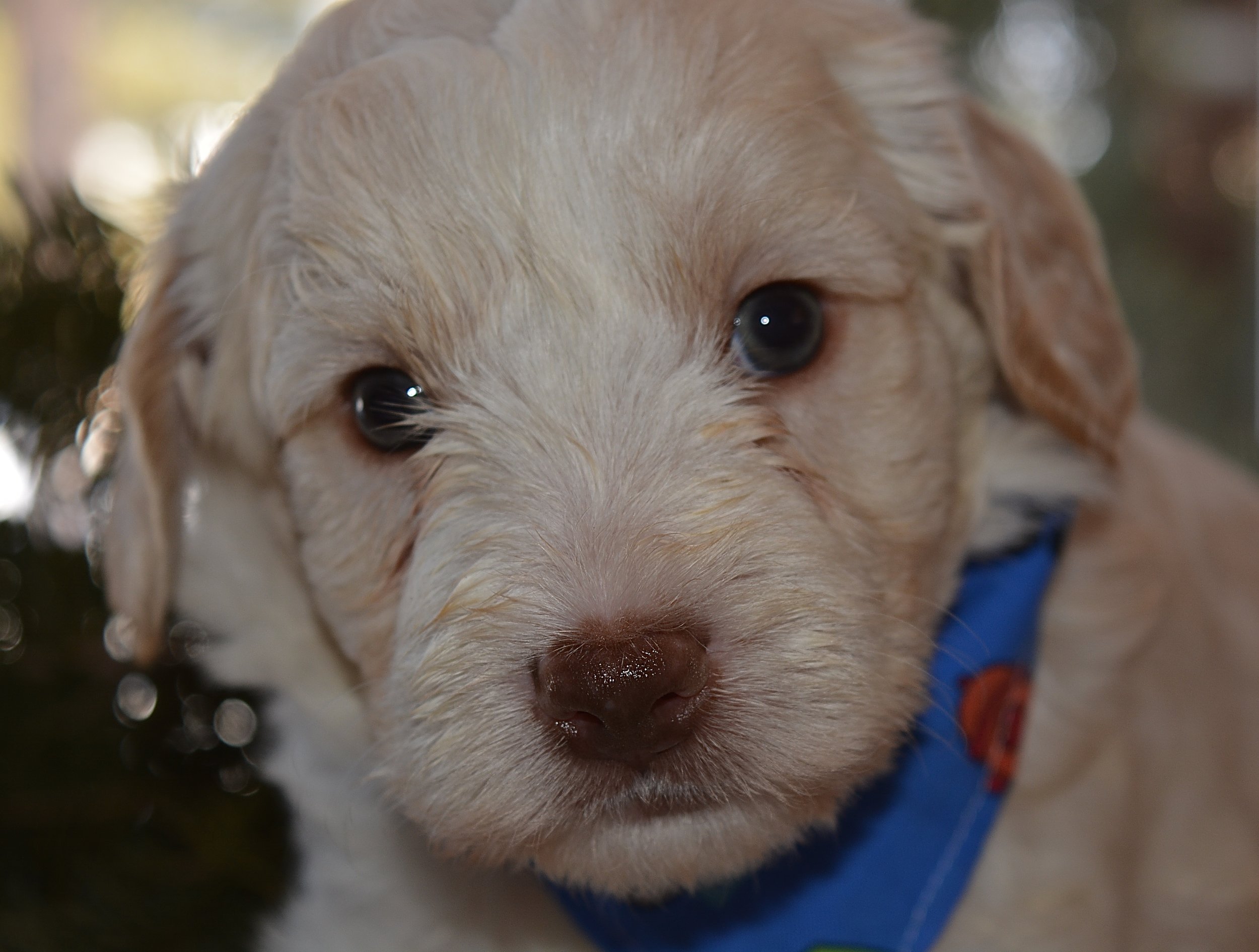 The cutest nose :) 