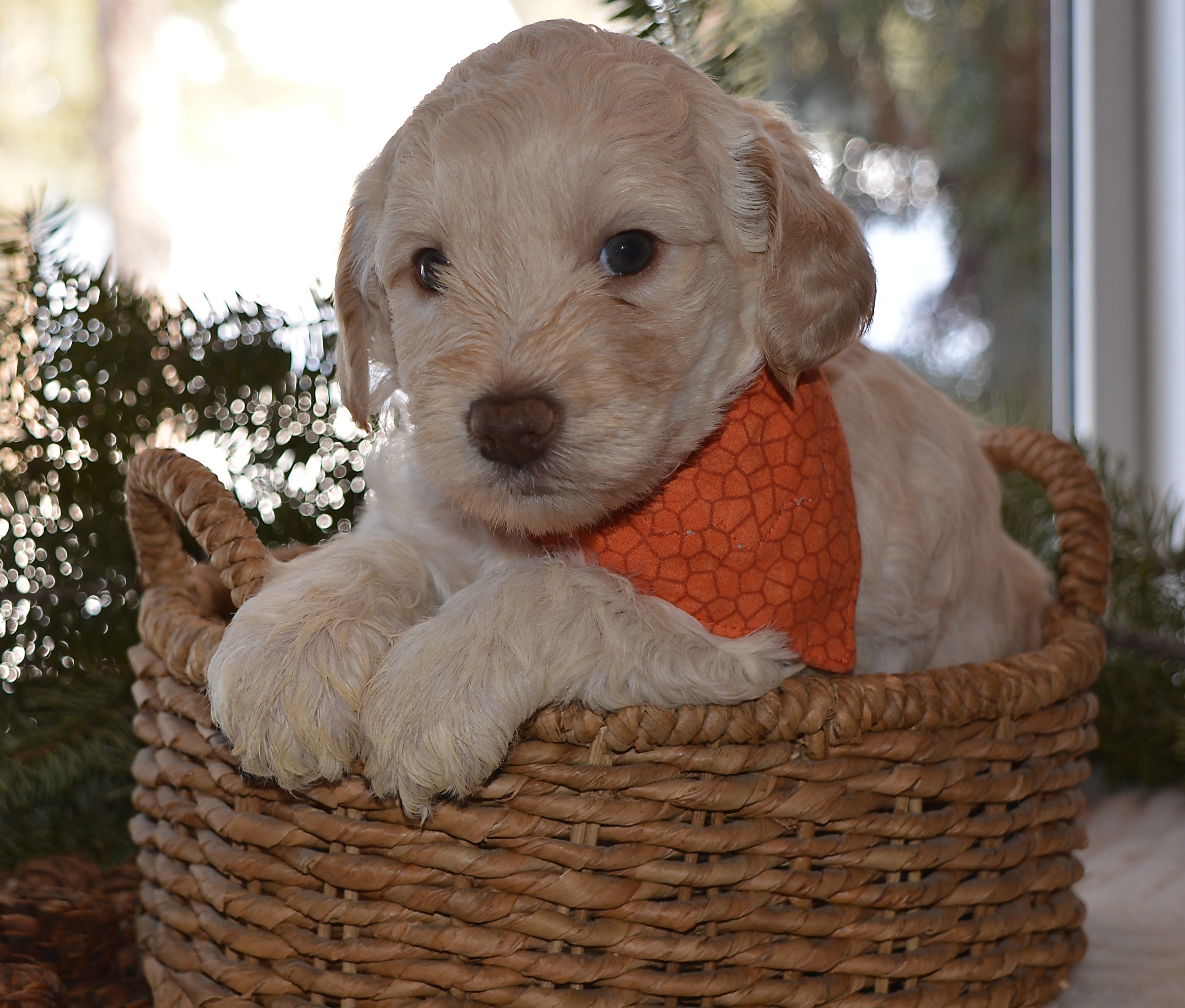 Such a cutie! 