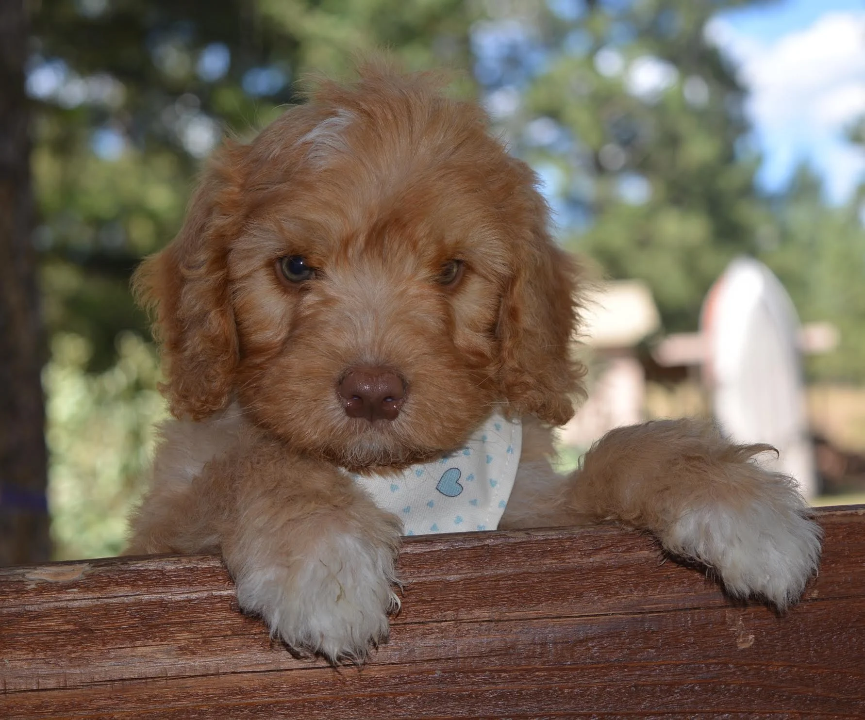 Congrats to Toby and the Wilson family!