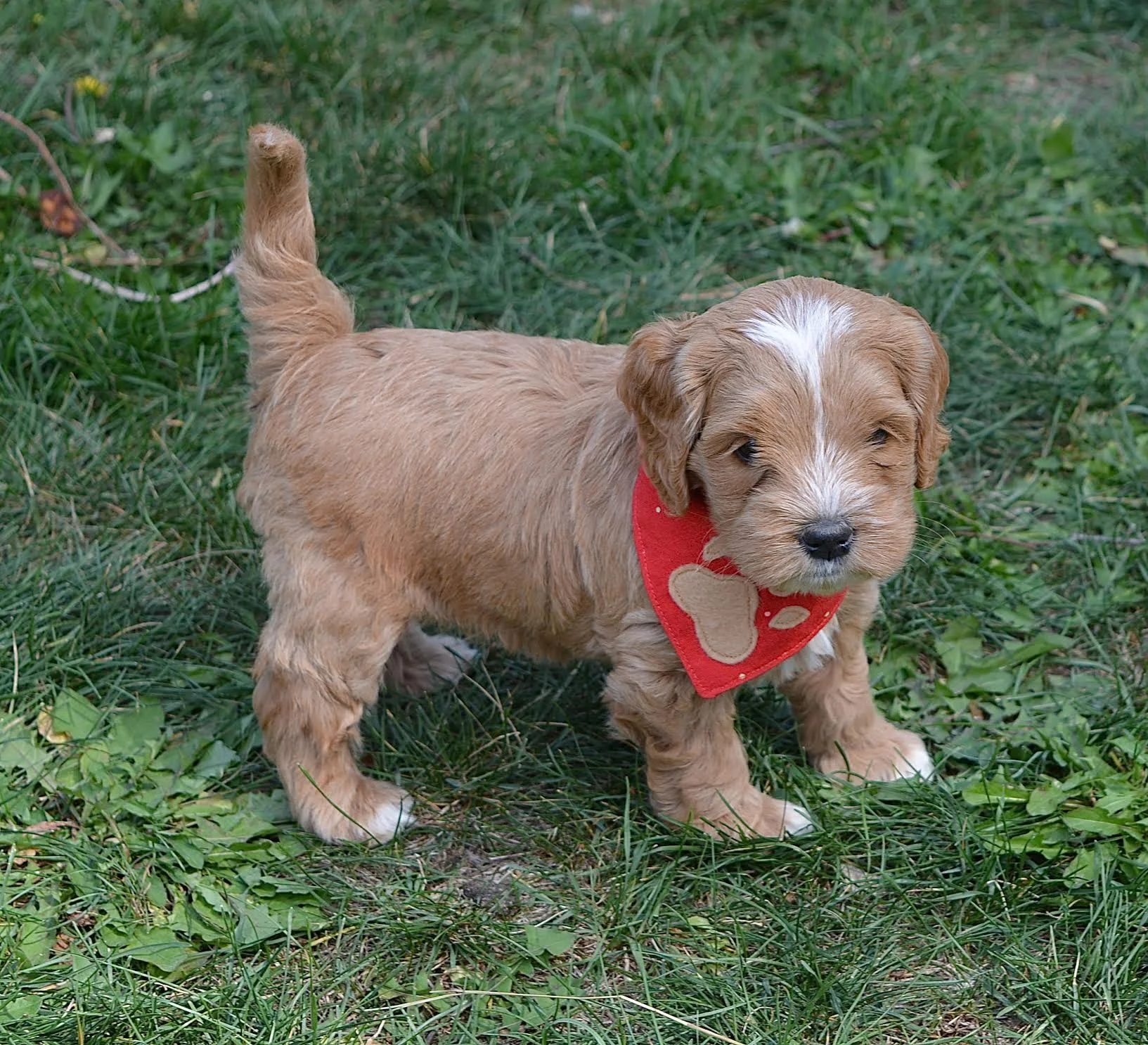 Ruby