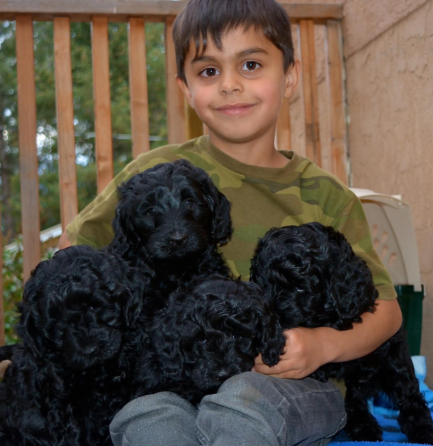 Lucca and the pups! 