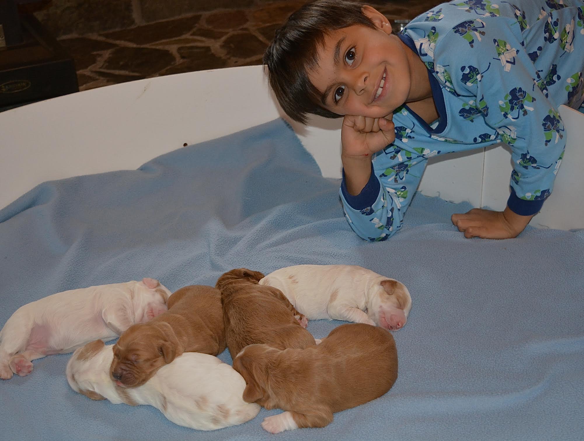 Lucca cheesing with the puppies! 