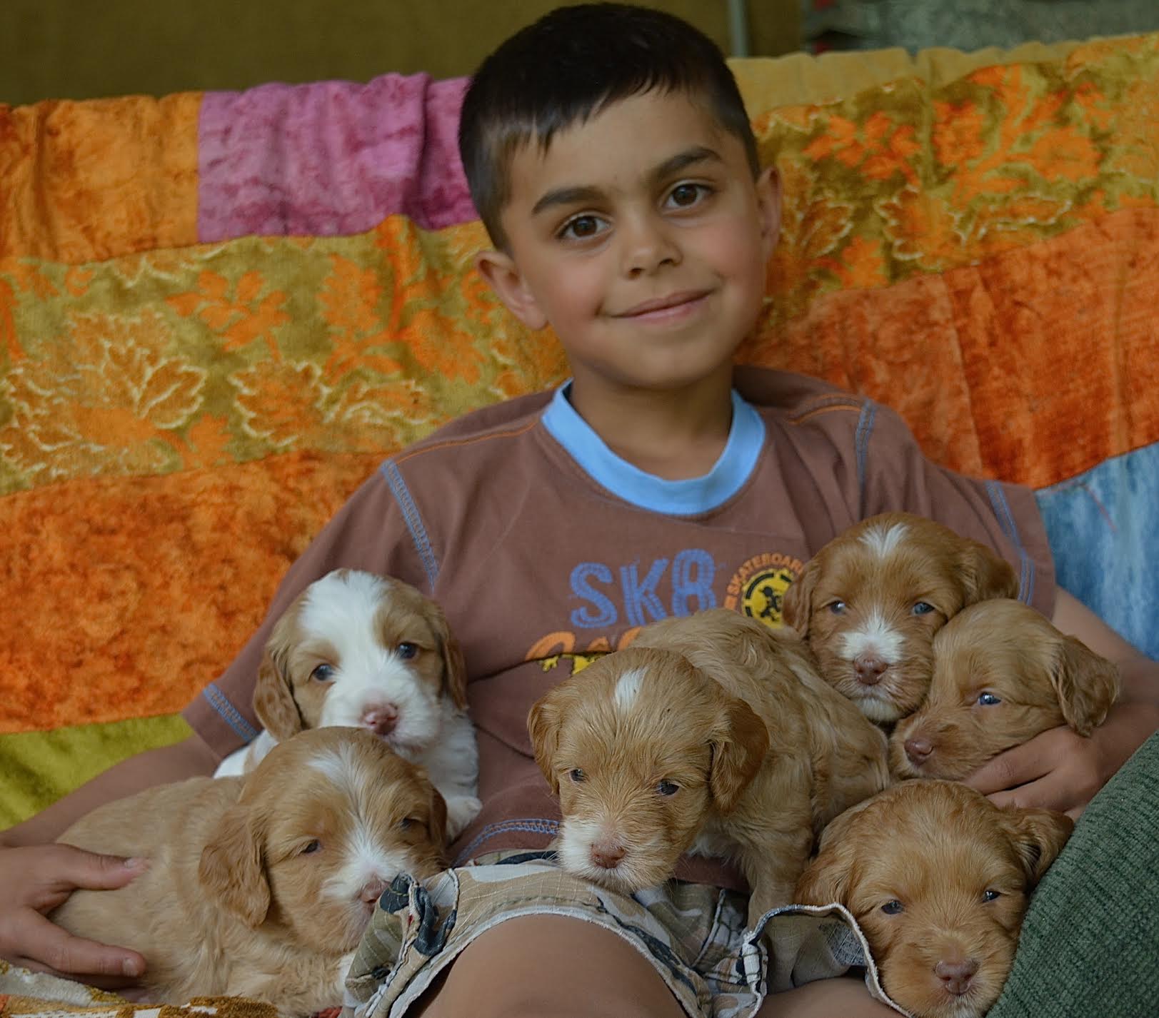 Lucca, the Puppy Socializer and Polly's Puppies!