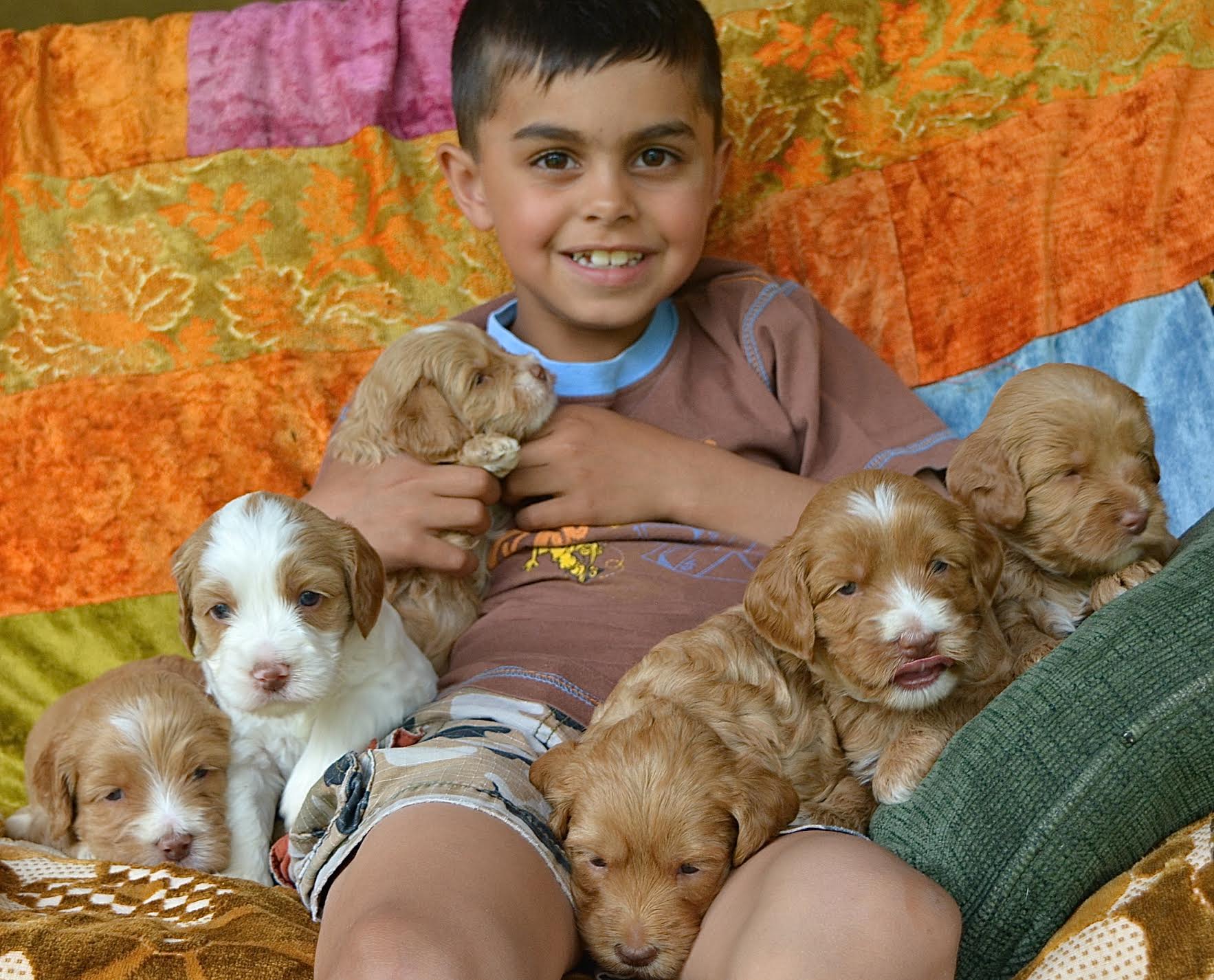 Lucca, The Puppy Socializer and Polly's Puppies