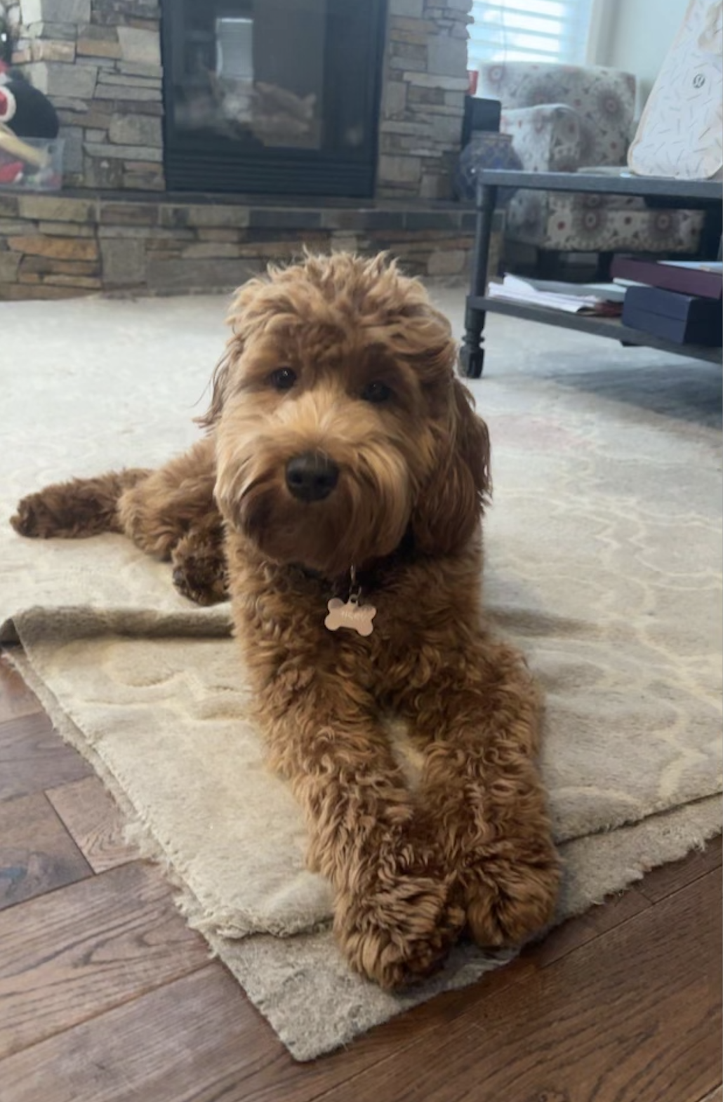 Screenshot 2026-01-09 at 1.54.39 PM.png