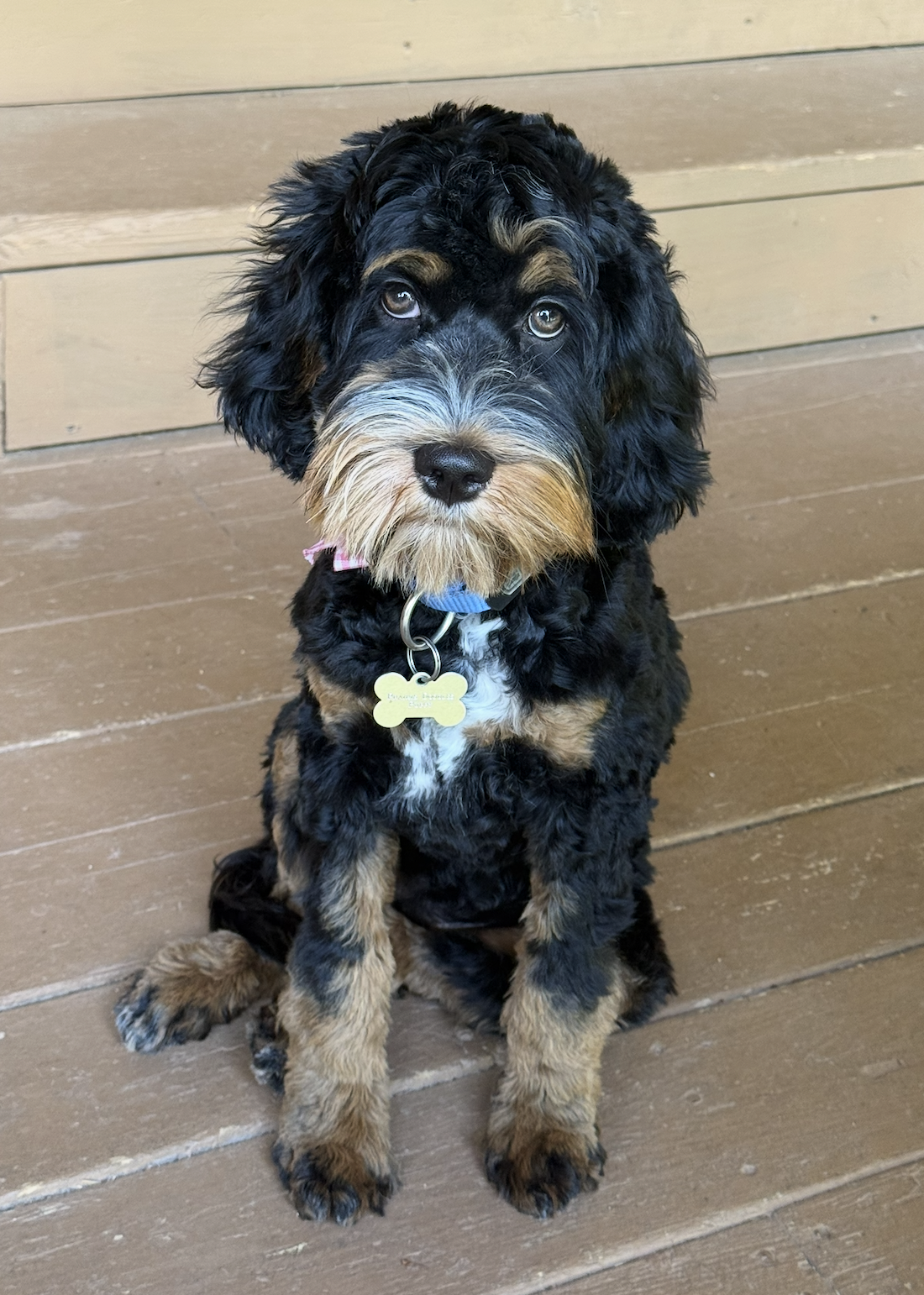 Screenshot 2026-01-09 at 3.02.53 PM.png