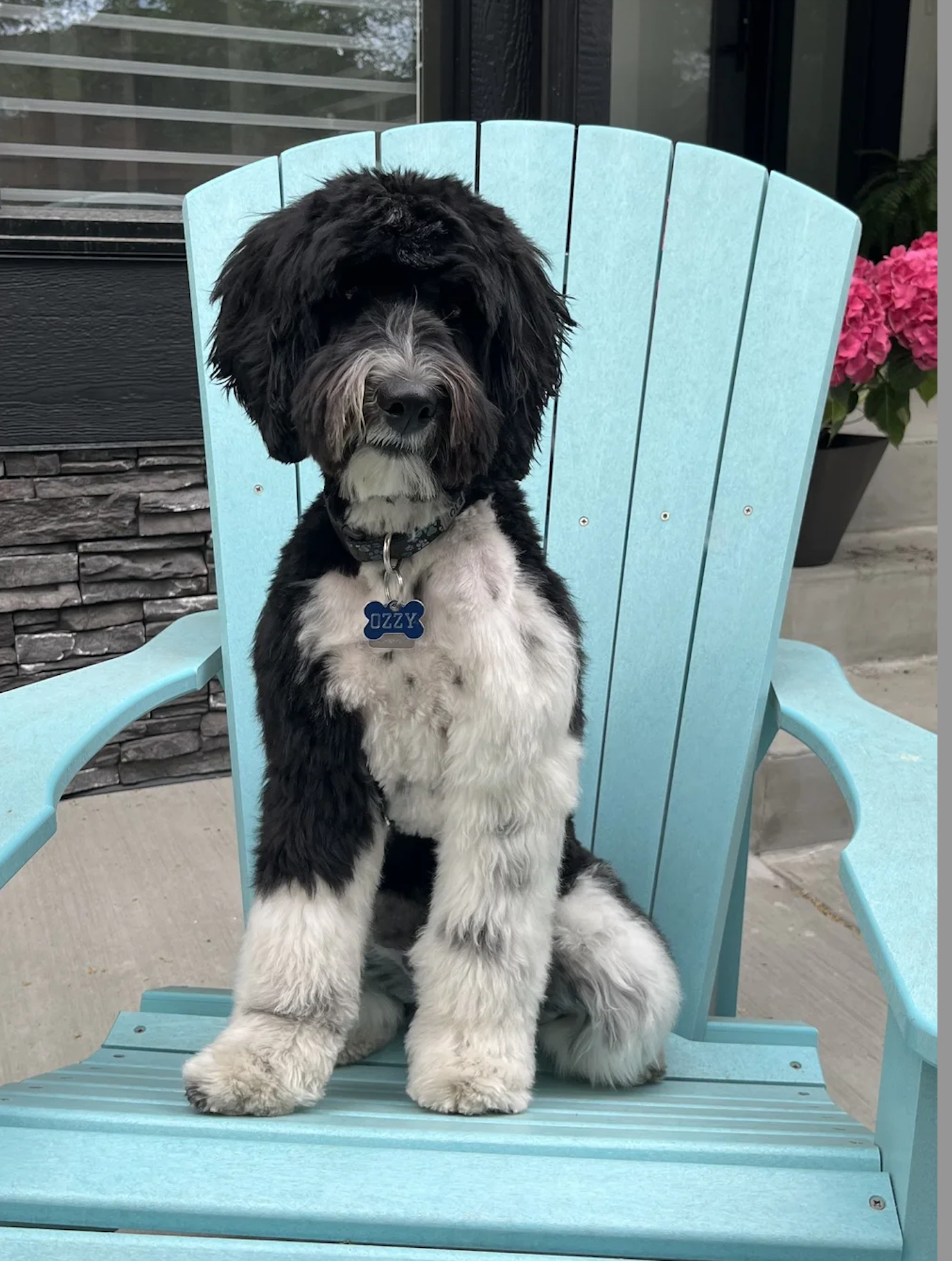 Screenshot 2026-01-12 at 11.46.10 AM.png