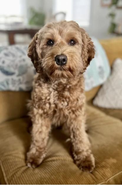 Screenshot 2026-01-12 at 12.07.04 PM.png