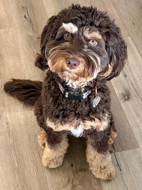 1-2.jpeg