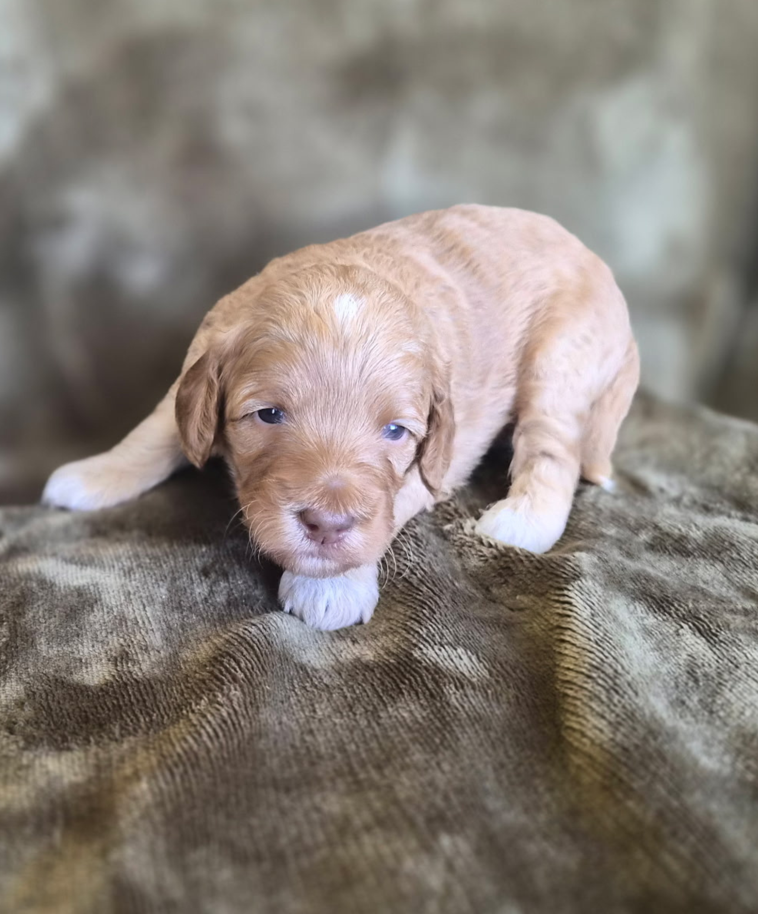 Sneezy (girl)