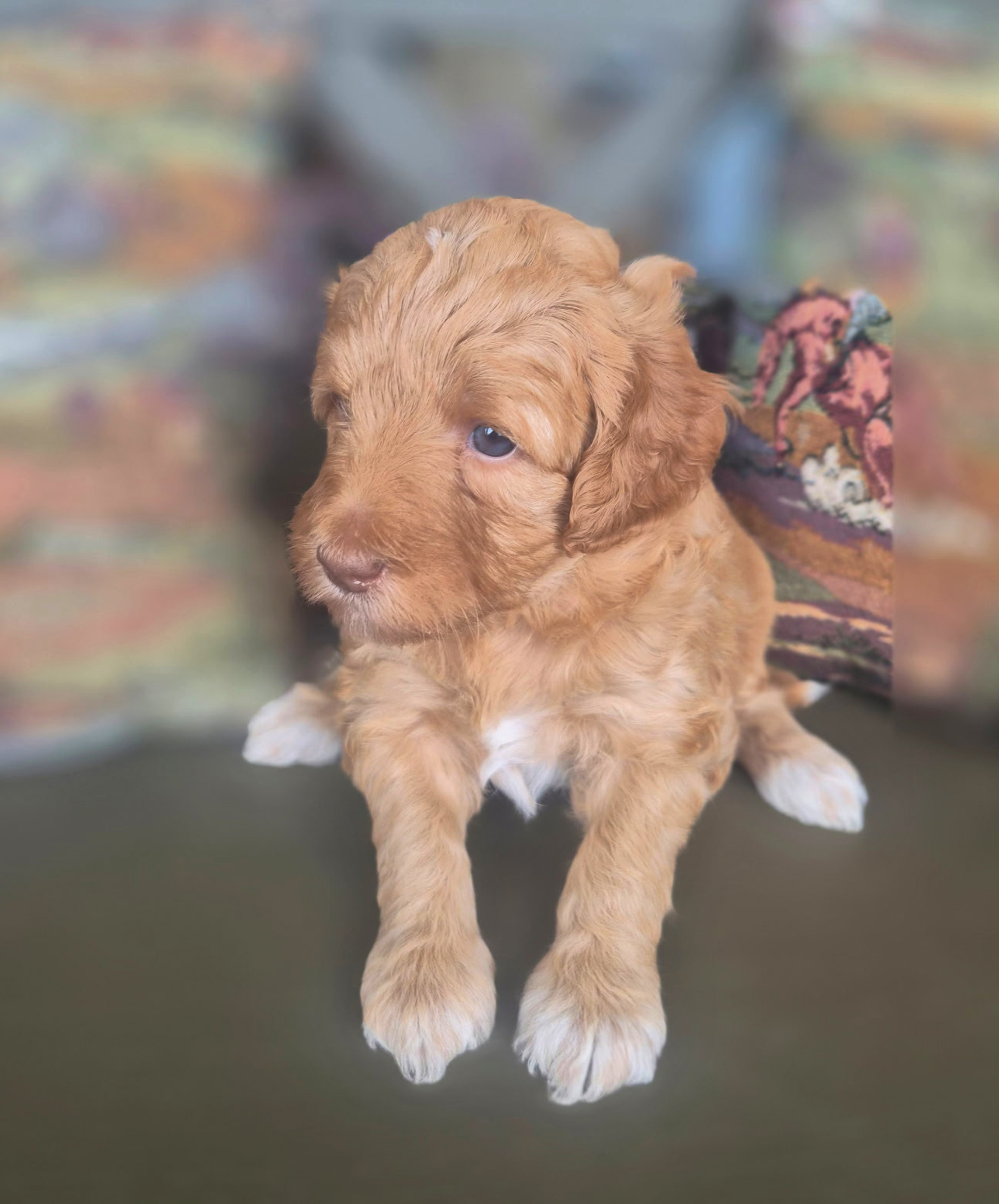 Sneezy (girl)