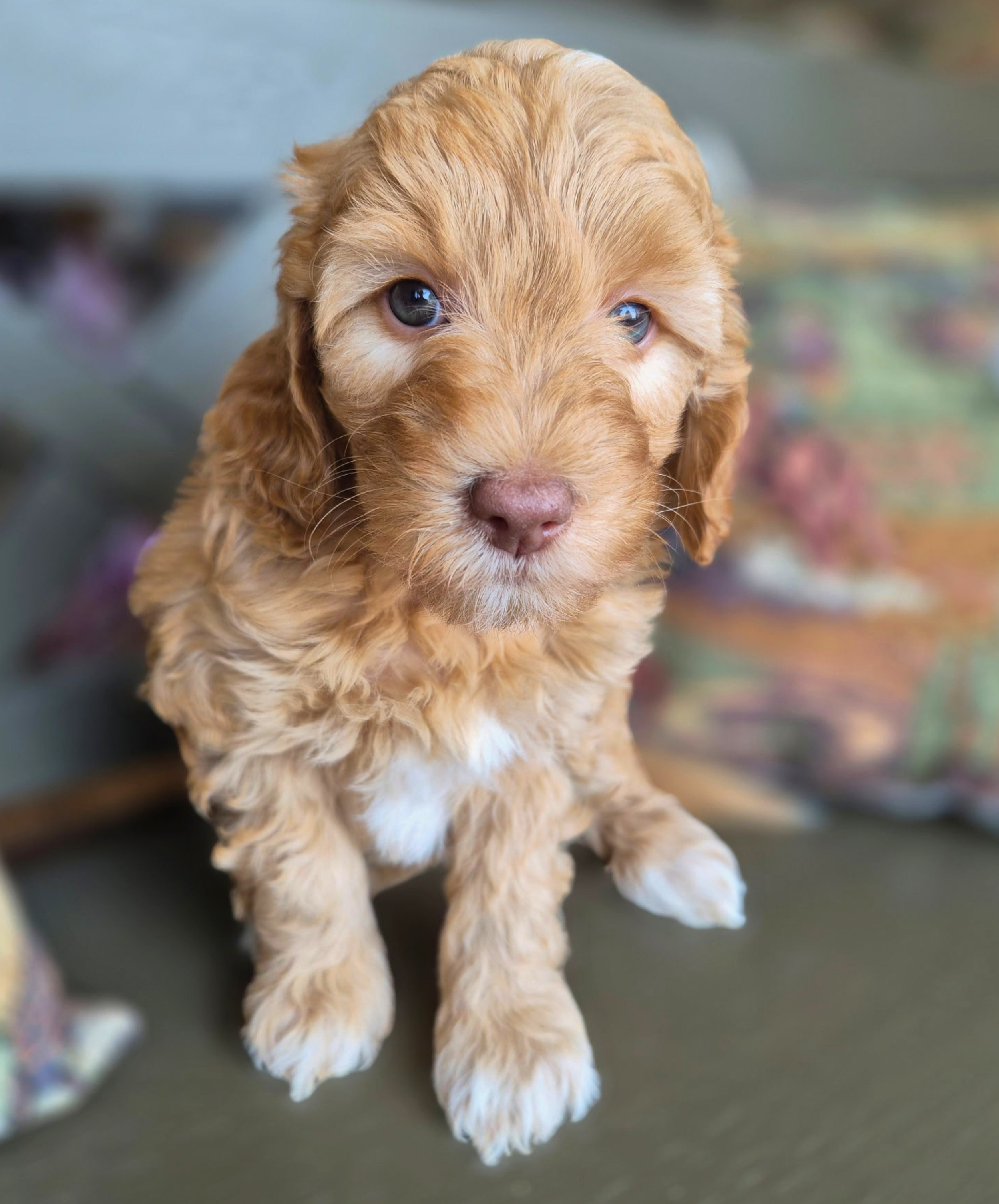 Sneezy (girl)
