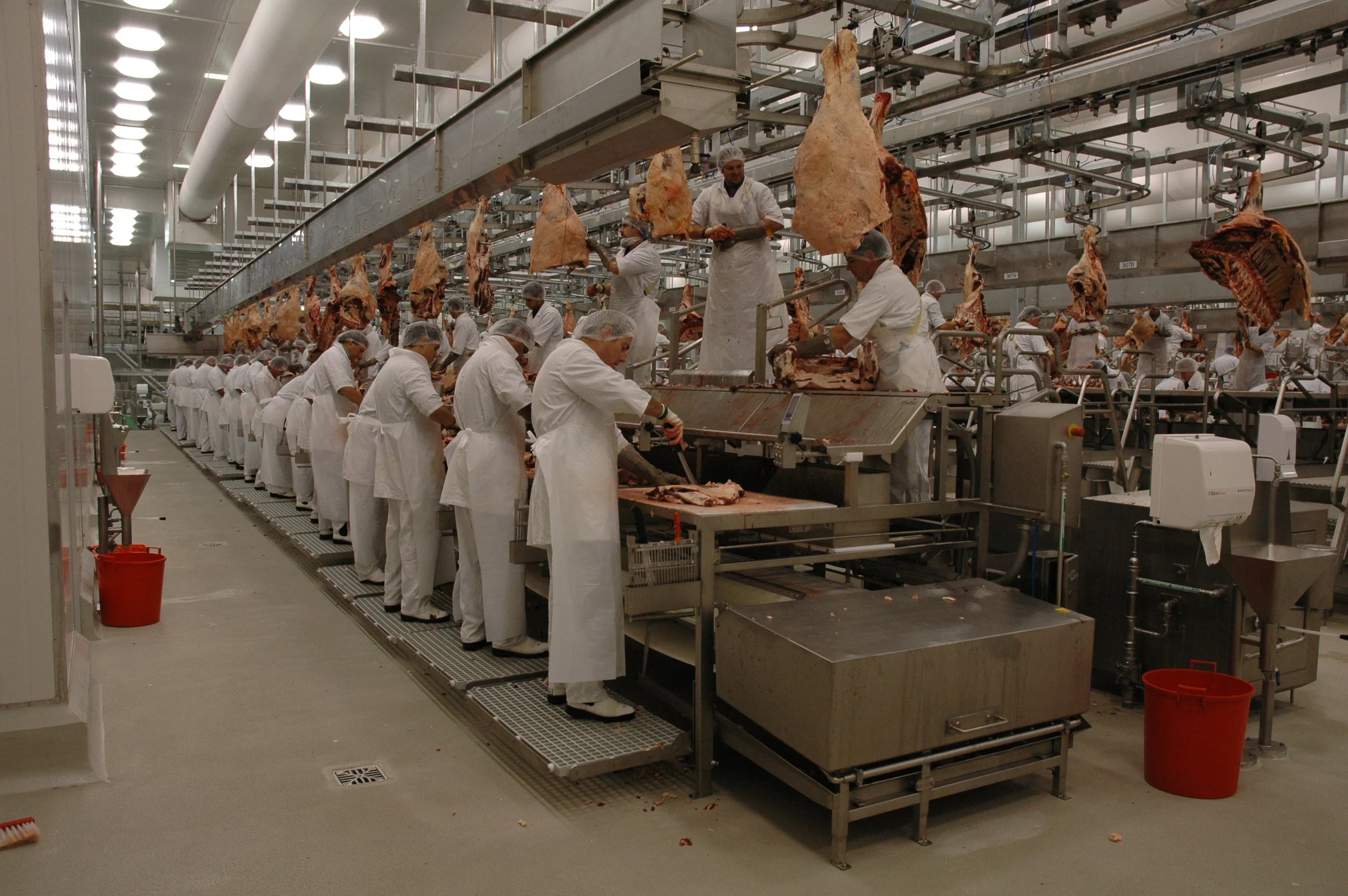 Food & Processing — McNab