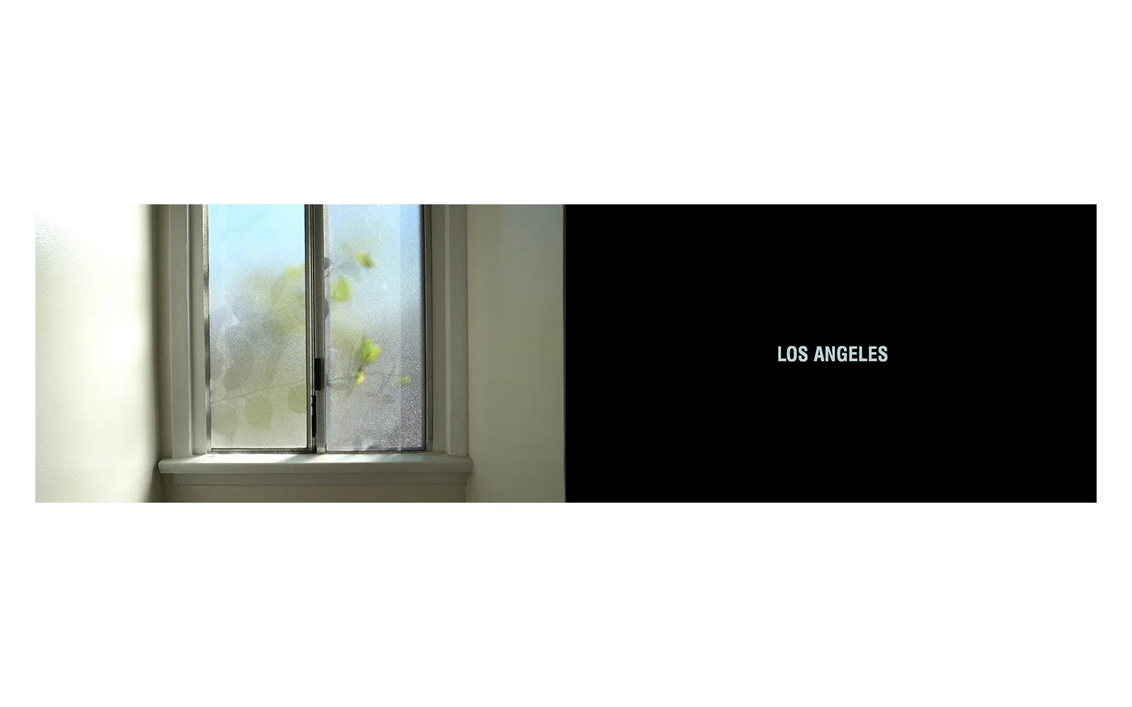 Source Known (but withheld), 2-channel HD video still, 8:11, 2017.