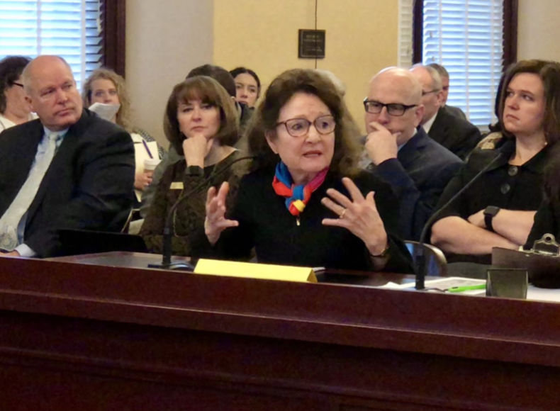 Professor Mary Ann Lee, Director of the Tanner Dance Program, testifying at the Public Education Appropriations Committee