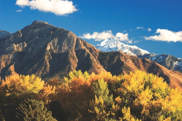 Mt.OlympusPhoto.png