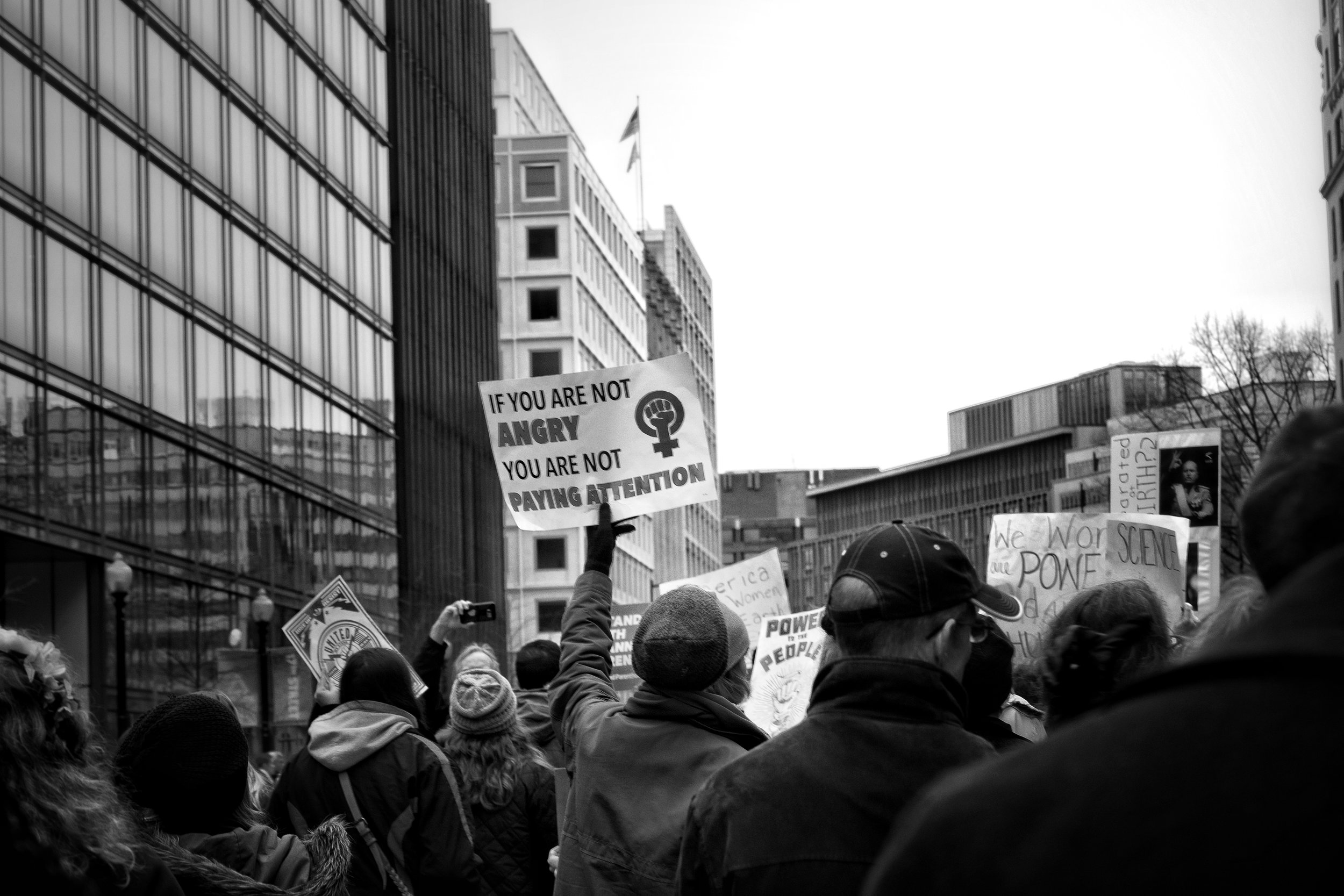 _DSC8663-01.jpeg