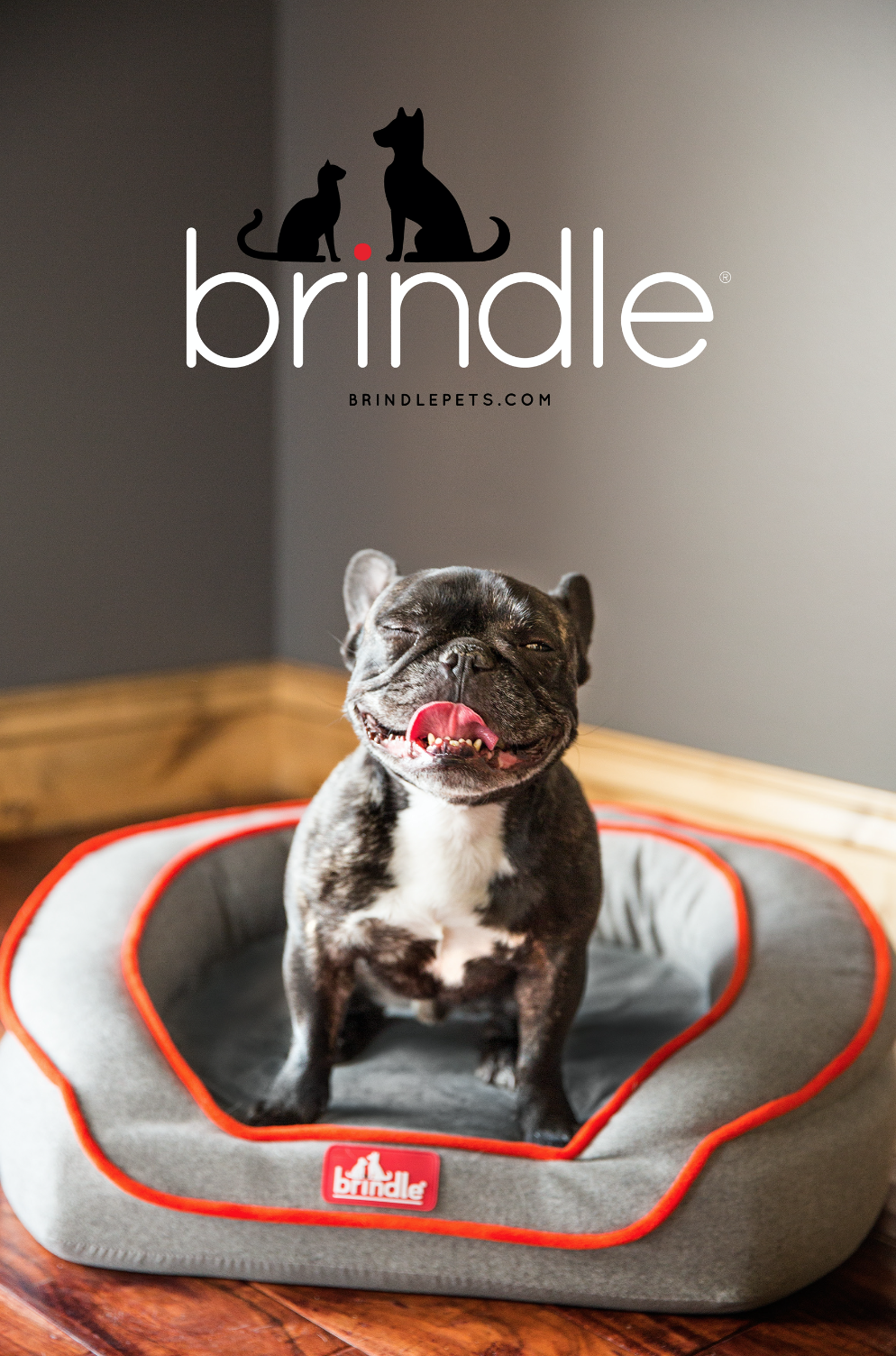 Brindle Pets - Branding, Product & Package Design