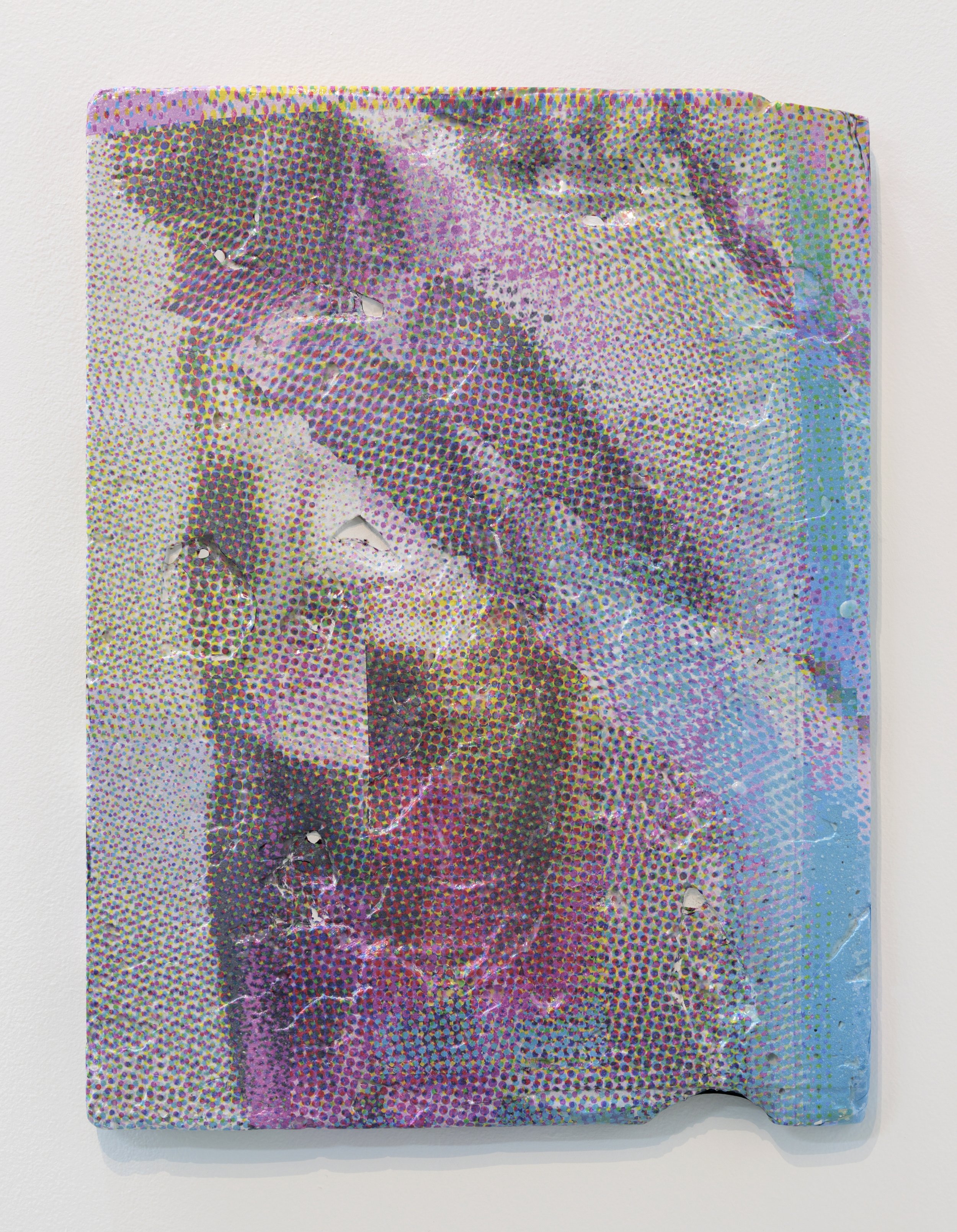   Cygnus (v2)   Plaster, mesh, water transfer print  40cm x 30cm   