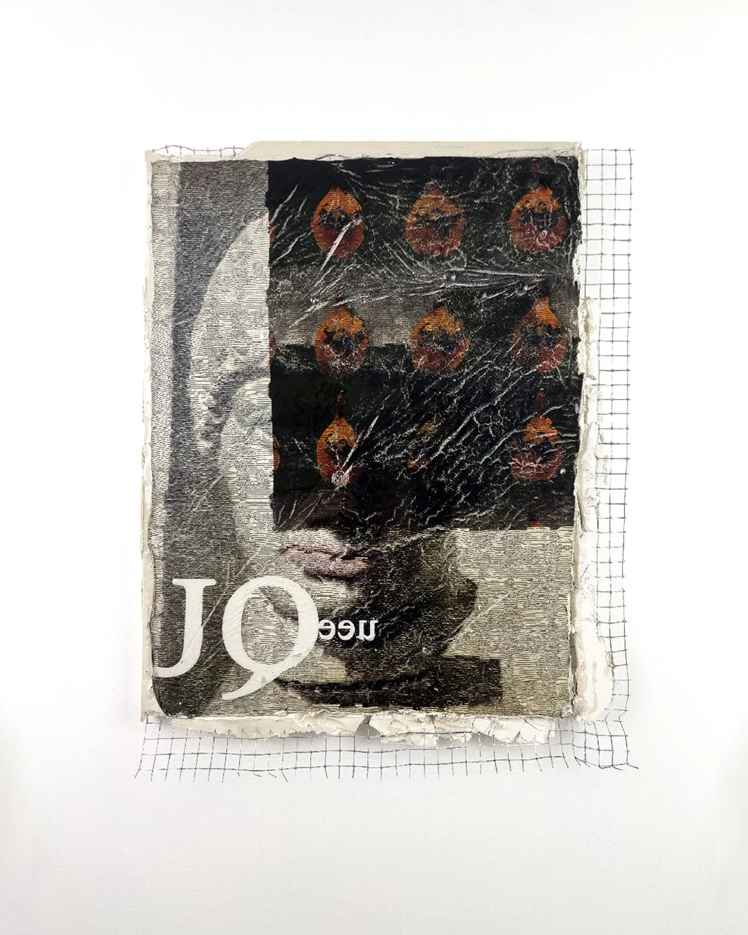 Queen Plaster, acrylic, mesh, epoxy resin, digital print on hydro film 55 x 45cm